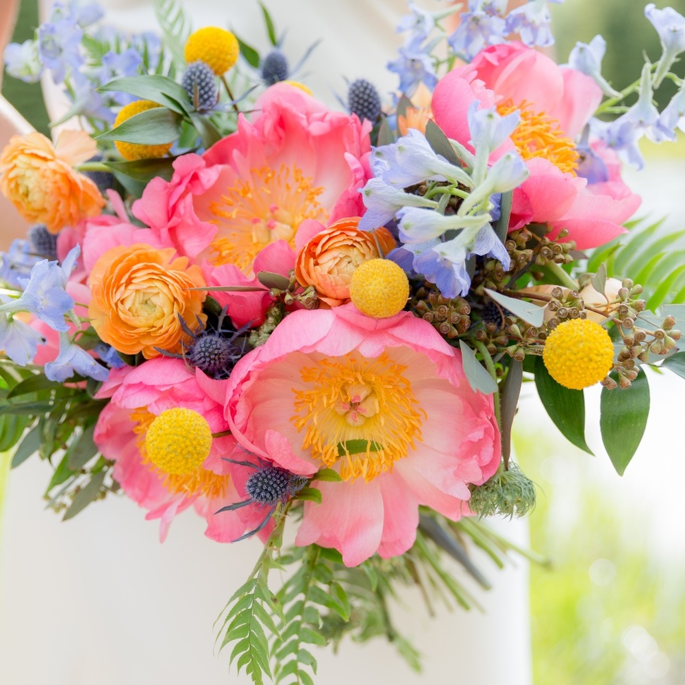 Welcome to my closet